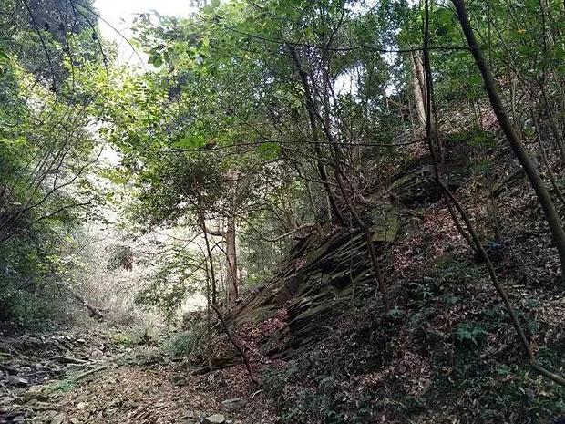 继“小东北虎”后,河南“小玉米”也来桂林啦!