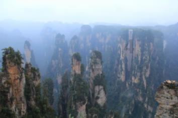 2023中国儿童防敏市场发展洞察报告（附下载）