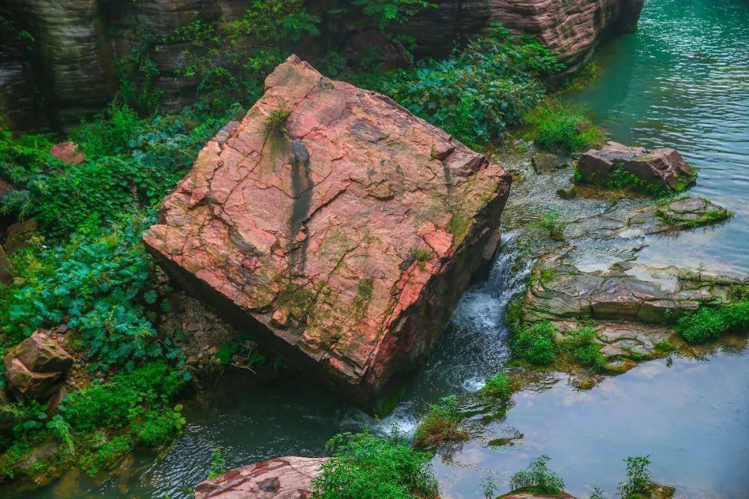 拯救精灵的土地10