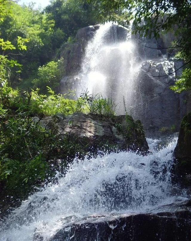 宝可梦探险寻宝