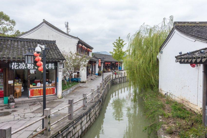 寻找奈良树花
