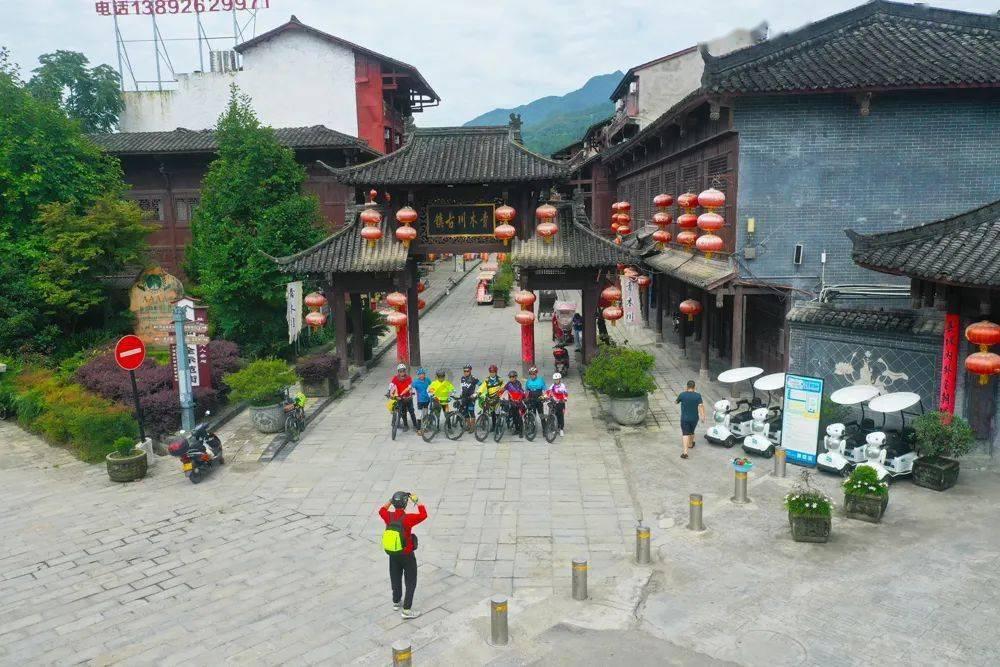 逃离棕榈树森林