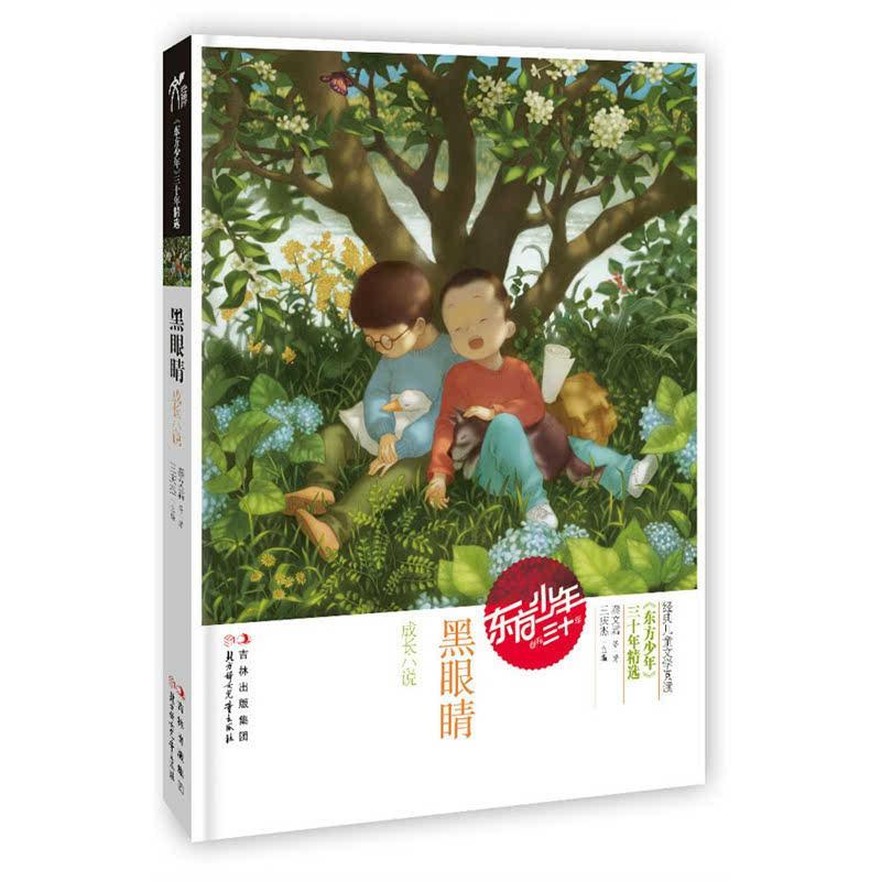 新高达破坏者